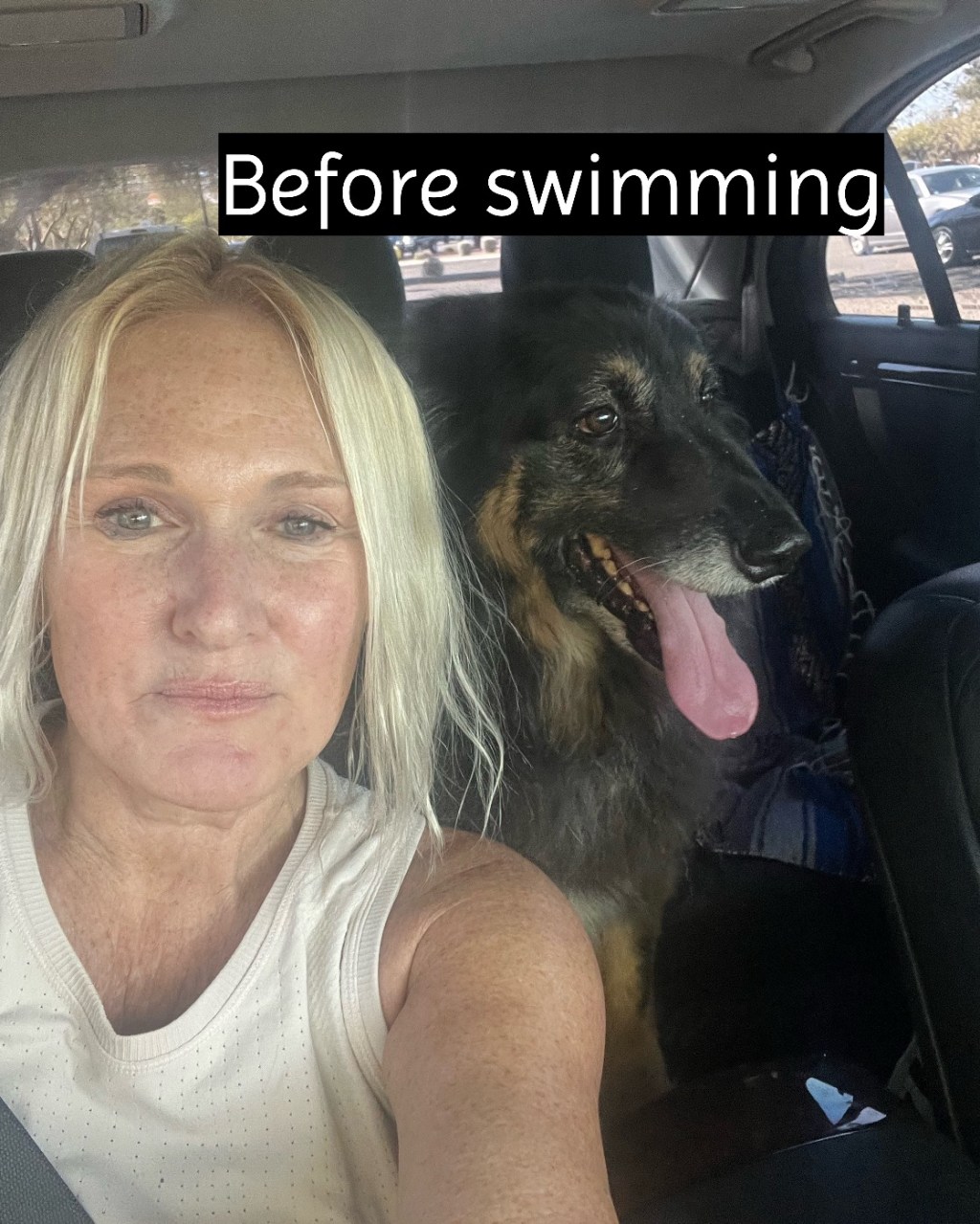 Overnight Pet Sitting